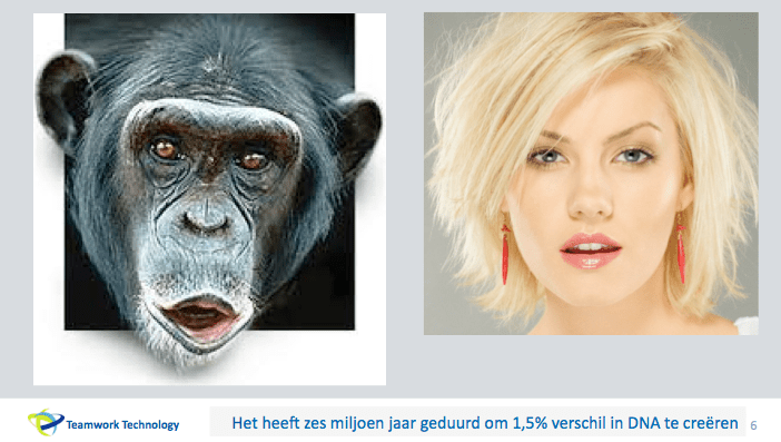 Screen Shot 2015-05-04 at 10.47.27